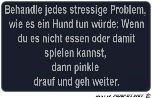 Problem Problem