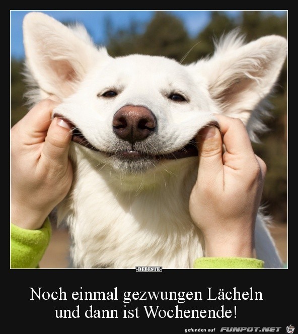 Gezwungen lcheln