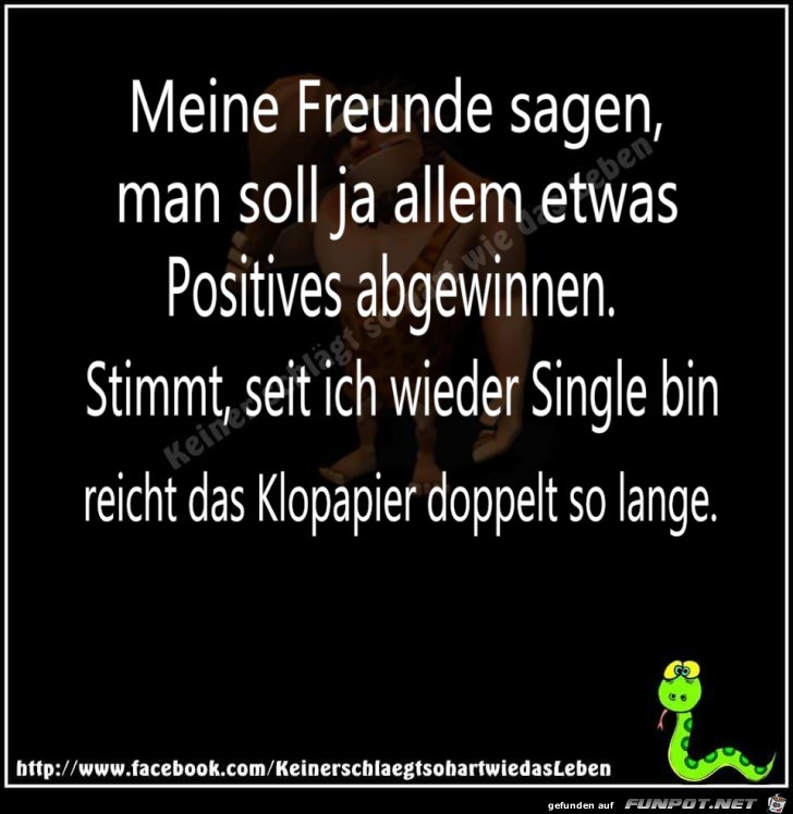 Meine Freunde sagen Meine Freunde sagen