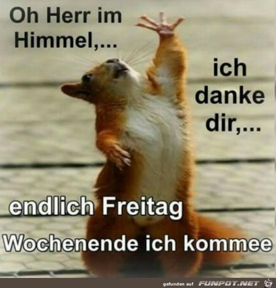 Oh Herr, ich danke dir....... Oh Herr, ich danke dir.......