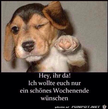 Schönes Wochenende Schönes Wochenende