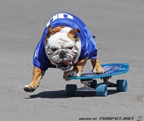 Sportlich Sportlich