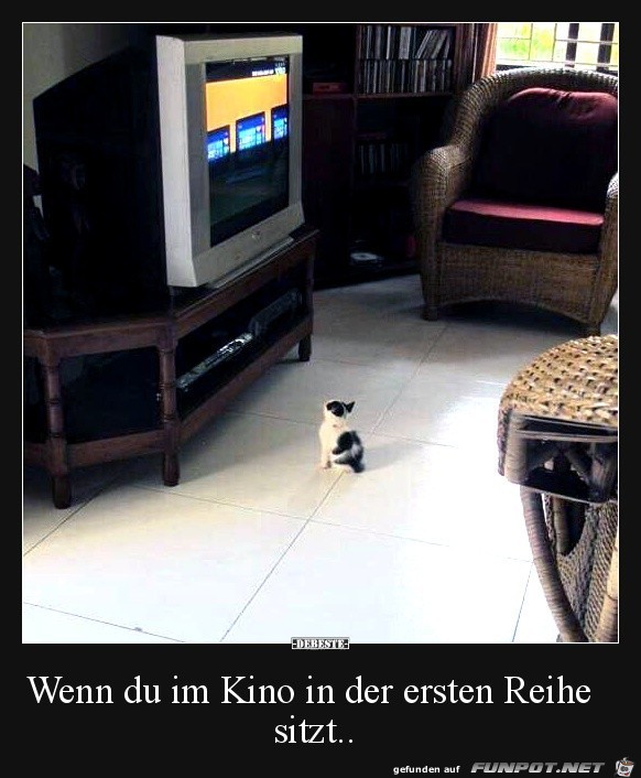 Wie im Kino ganz vorne