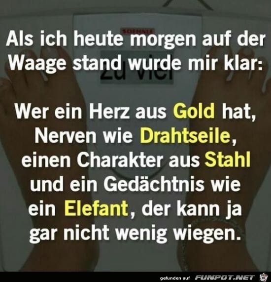 als ich heute Morgen auf der Waage stand....... als ich heute Morgen auf der Waage stand.......