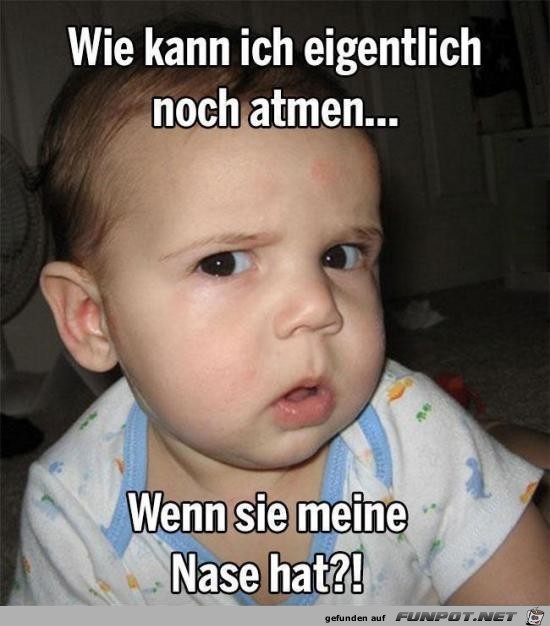Gute Frage Gute Frage