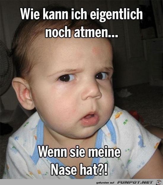 Gute Frage