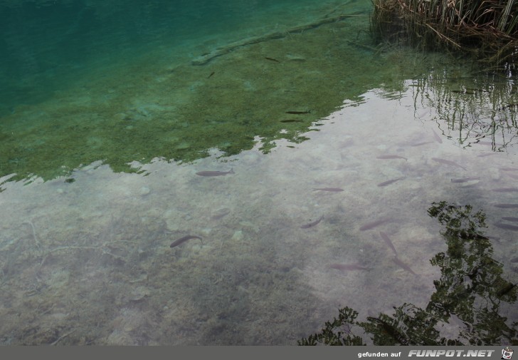 Impressionen von den Plitwitzer Seen (Kroatien,...