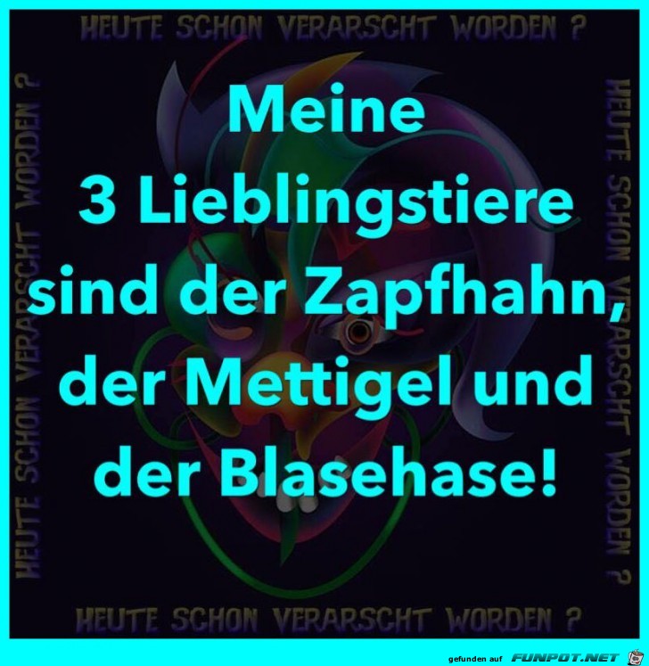 Lieblingstiere Lieblingstiere