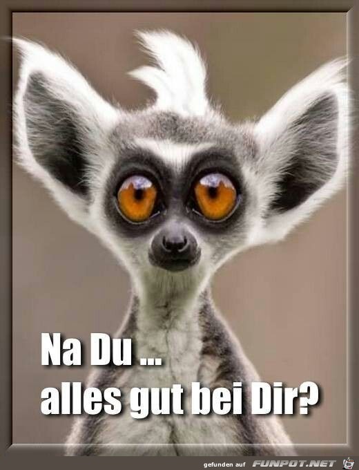 Alles gut? Alles gut?