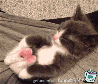 Erst mal strecken Erst mal strecken