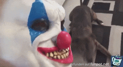 Klasse Hundeblick Klasse Hundeblick