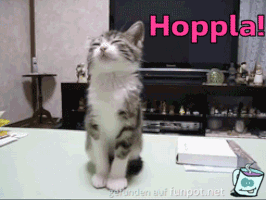 Hoppla Hoppla