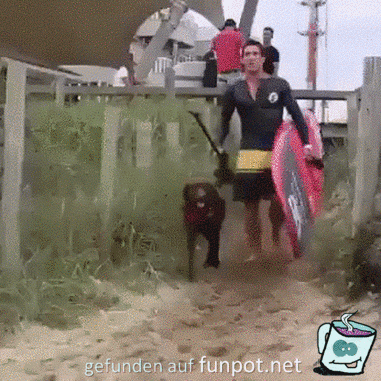 Surf-Hund Surf-Hund