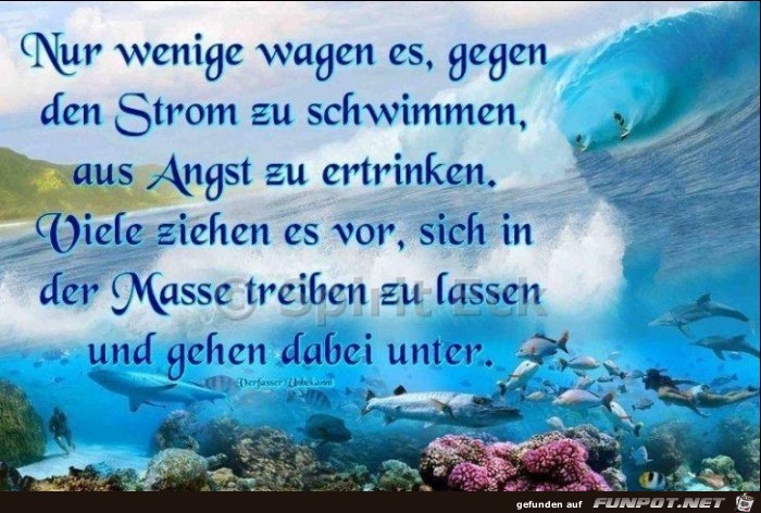 Nur wenige wagen es Nur wenige wagen es