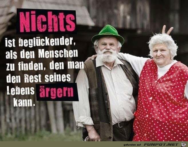 Hasenohren Hasenohren