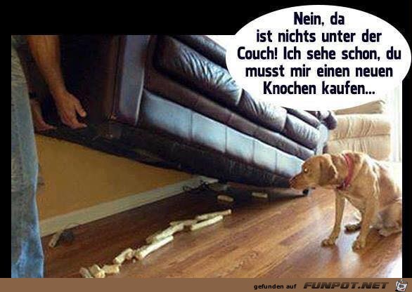 Keine Knochen da Keine Knochen da