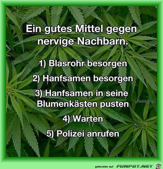 Mittel gegen nervende Nachbarn Mittel gegen nervende Nachbarn