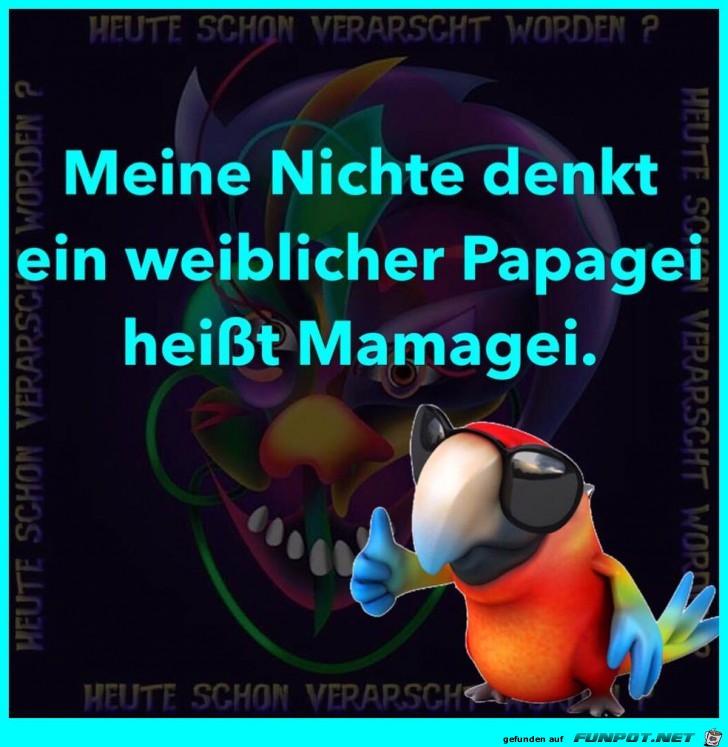 Weiblicher Papagei Weiblicher Papagei