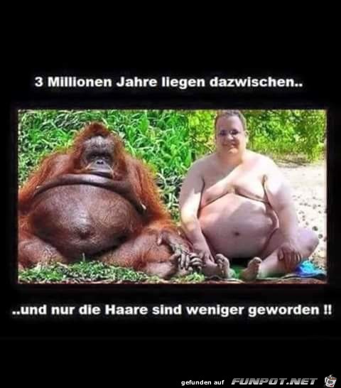 3 Millionen Jahre