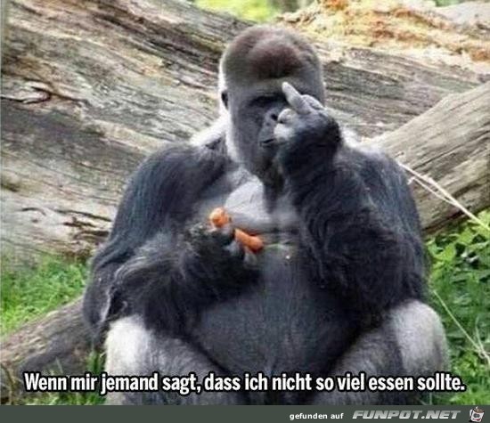 Gute Reaktion Gute Reaktion