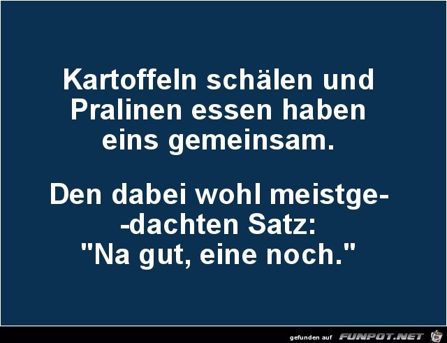 klasse Sprche und Witze!