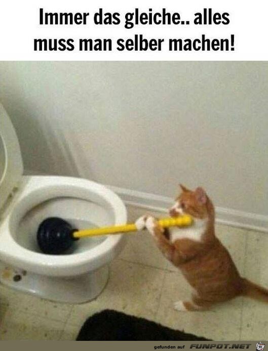 Immer das gleiche Immer das gleiche