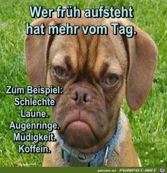 wer früh aufstehe wer früh aufstehe