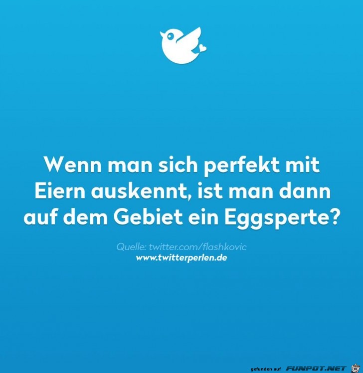 Wer kennt sich mit Eiern aus Wer kennt sich mit Eiern aus