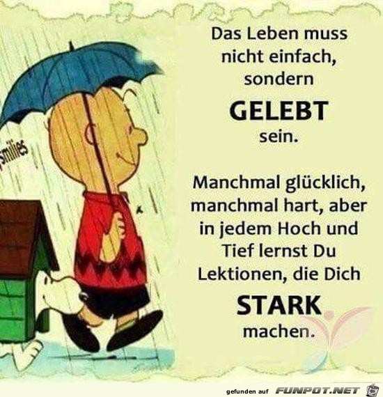 Das Leben muss nicht... Das Leben muss nicht...
