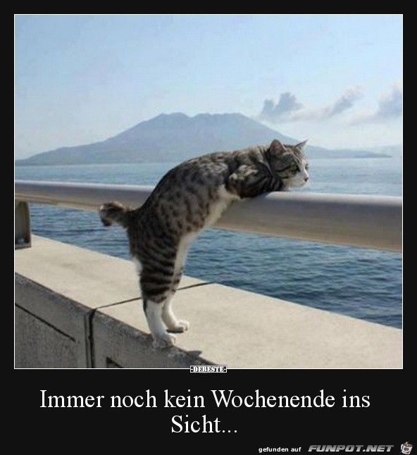 Immer noch kein WE in Sicht Immer noch kein WE in Sicht