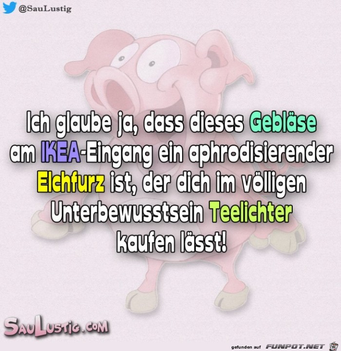 Ich-glaube-ja-dass-dieses-Geblaese