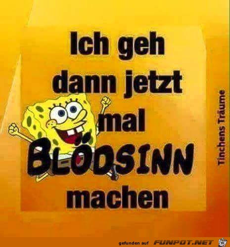 Bloedsinn machen