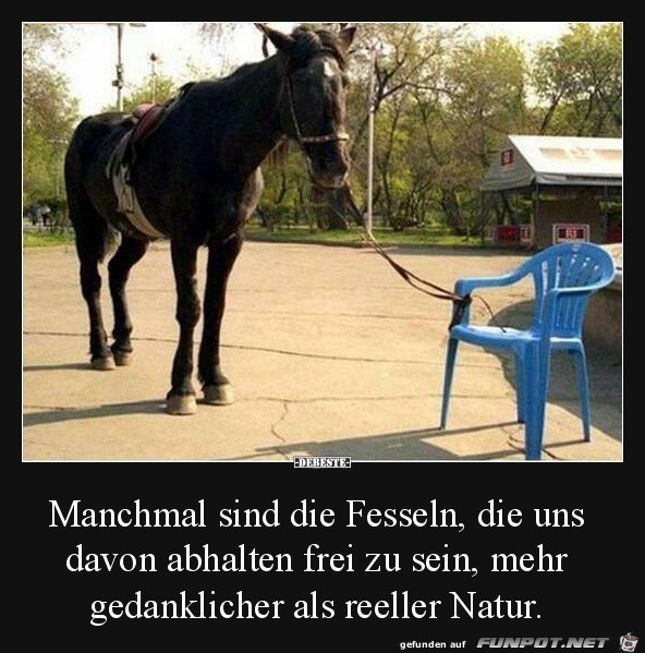 Die Fesseln Die Fesseln
