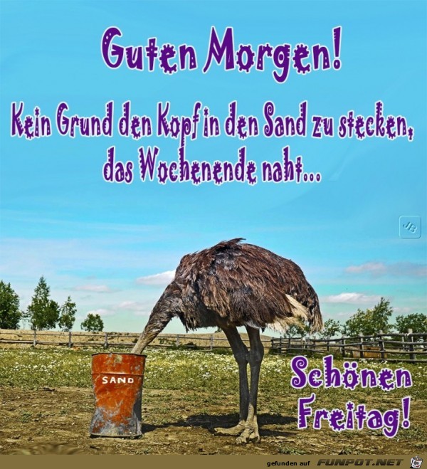 Freitag Freitag