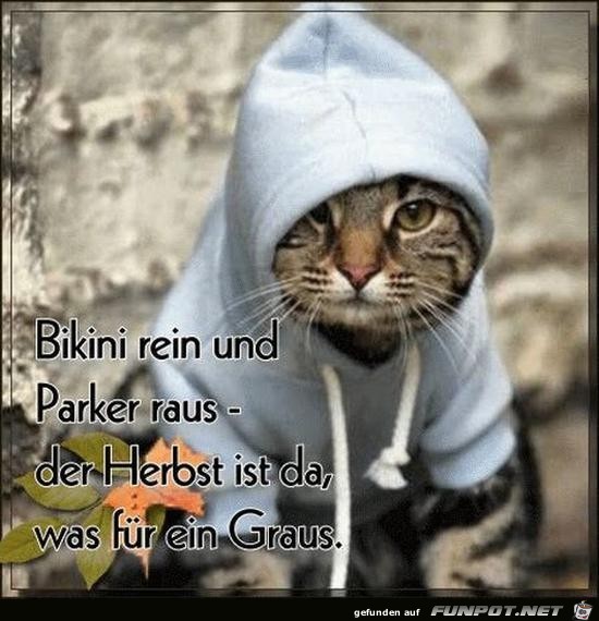 Der Herbst Der Herbst