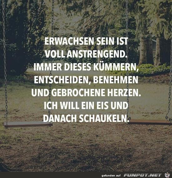 Erwachsen sein ist voll anstrengend....... Erwachsen sein ist voll anstrengend.......