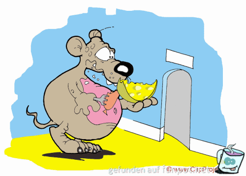 maus und kaese maus und kaese