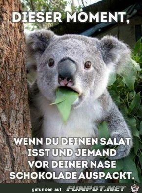 Dieser Moment