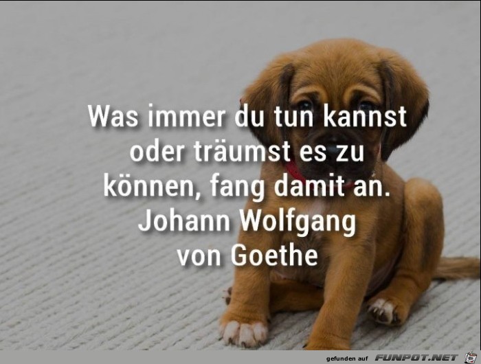 Was immer du tun kannst Was immer du tun kannst