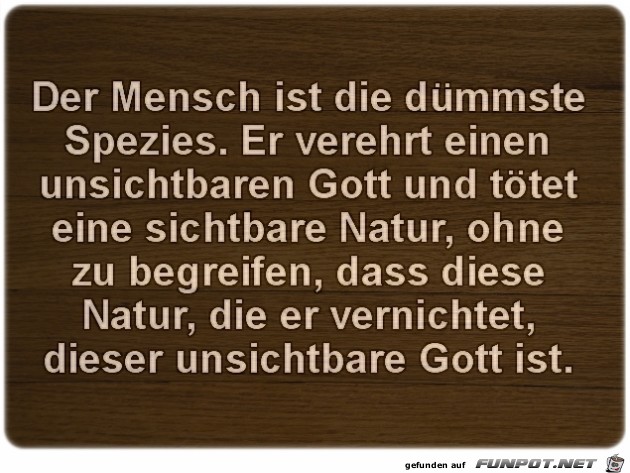 Der Mensch..