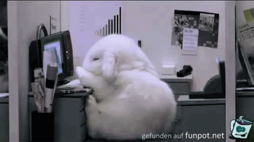 Ich fall tot um Ich fall tot um
