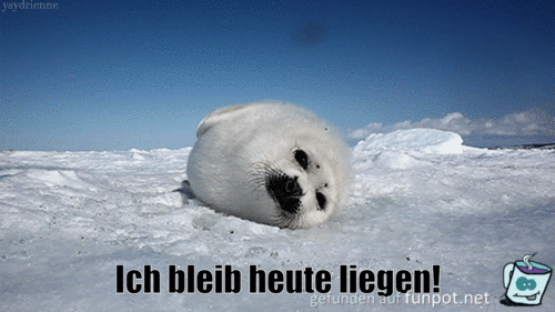 Ich bleib liegen Ich bleib liegen