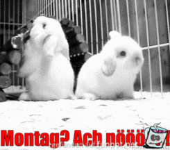 Montag ach nööö Montag ach nööö