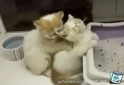 Tolle Massage Tolle Massage