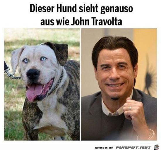 Verblüffende Ähnlichkeit Verblüffende Ähnlichkeit
