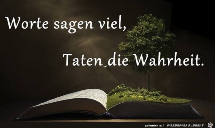 Worte