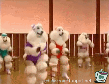 Frühsport Frühsport