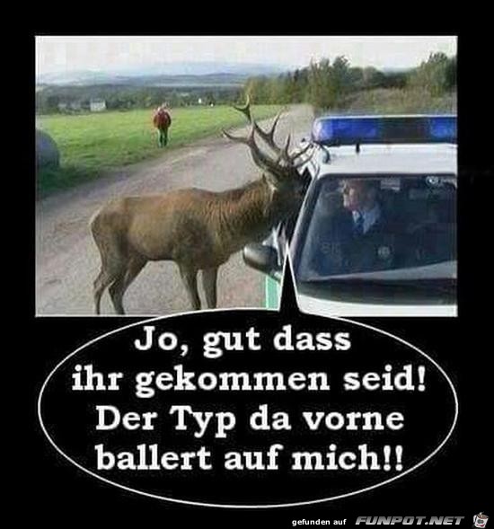 Gut dass ihr da seid Gut dass ihr da seid