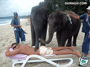 Elefanten-Massage