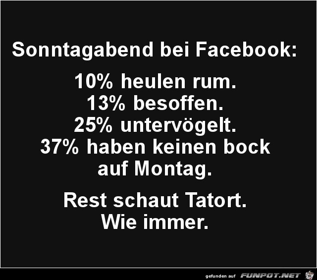 Sonntagabend bei Facebook Sonntagabend bei Facebook